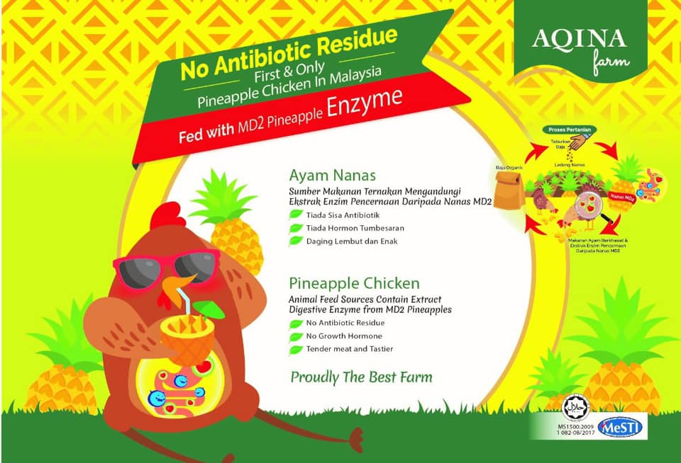 AQINA FROZEN PINEAPPLE CHICKEN (+/- 2KG) - Image 4