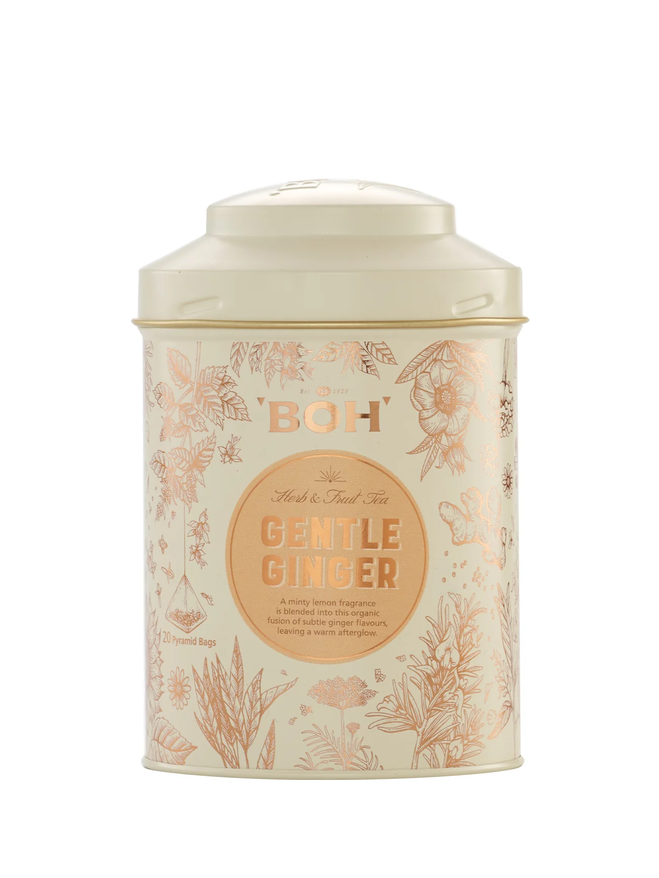 BOH GENTLE GINGER 15SX2G - Image 2