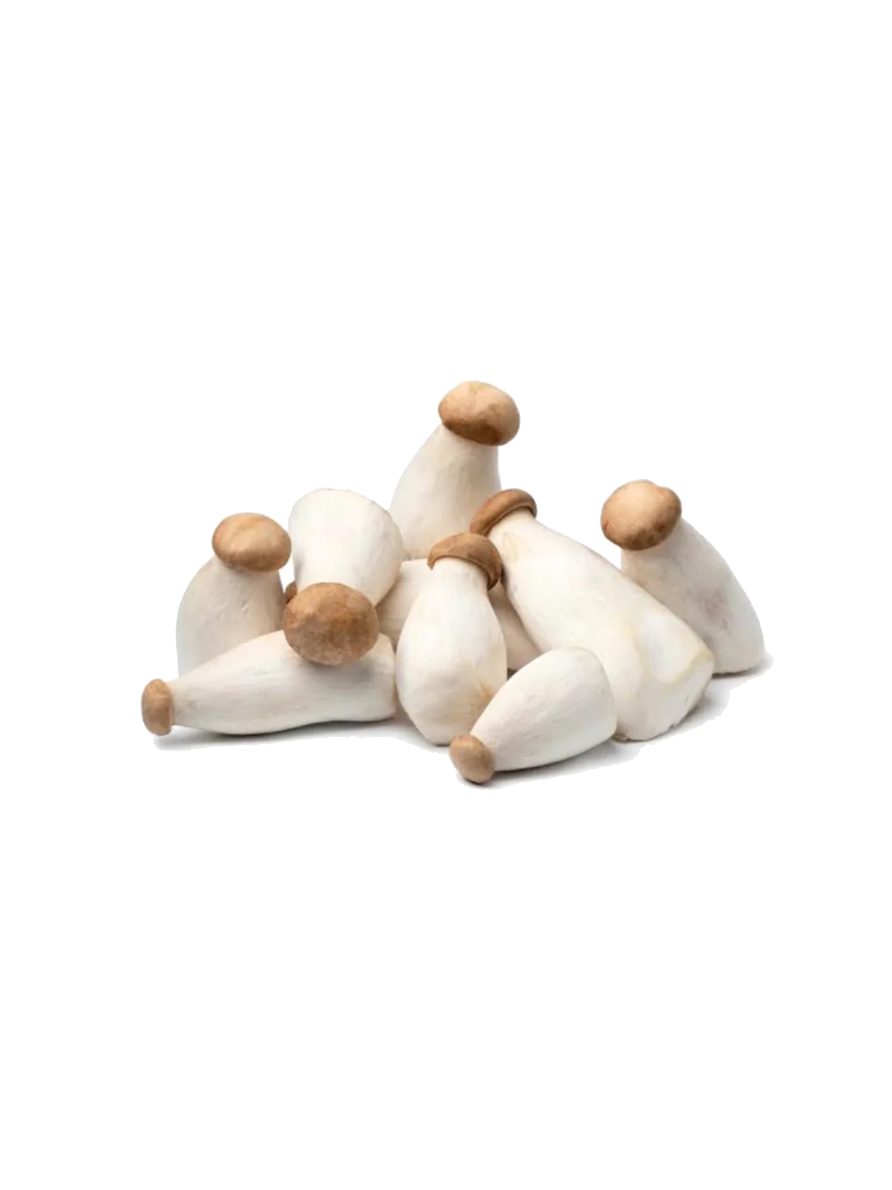 CHINA BABY KING OYSTER MUSHROOM 250G