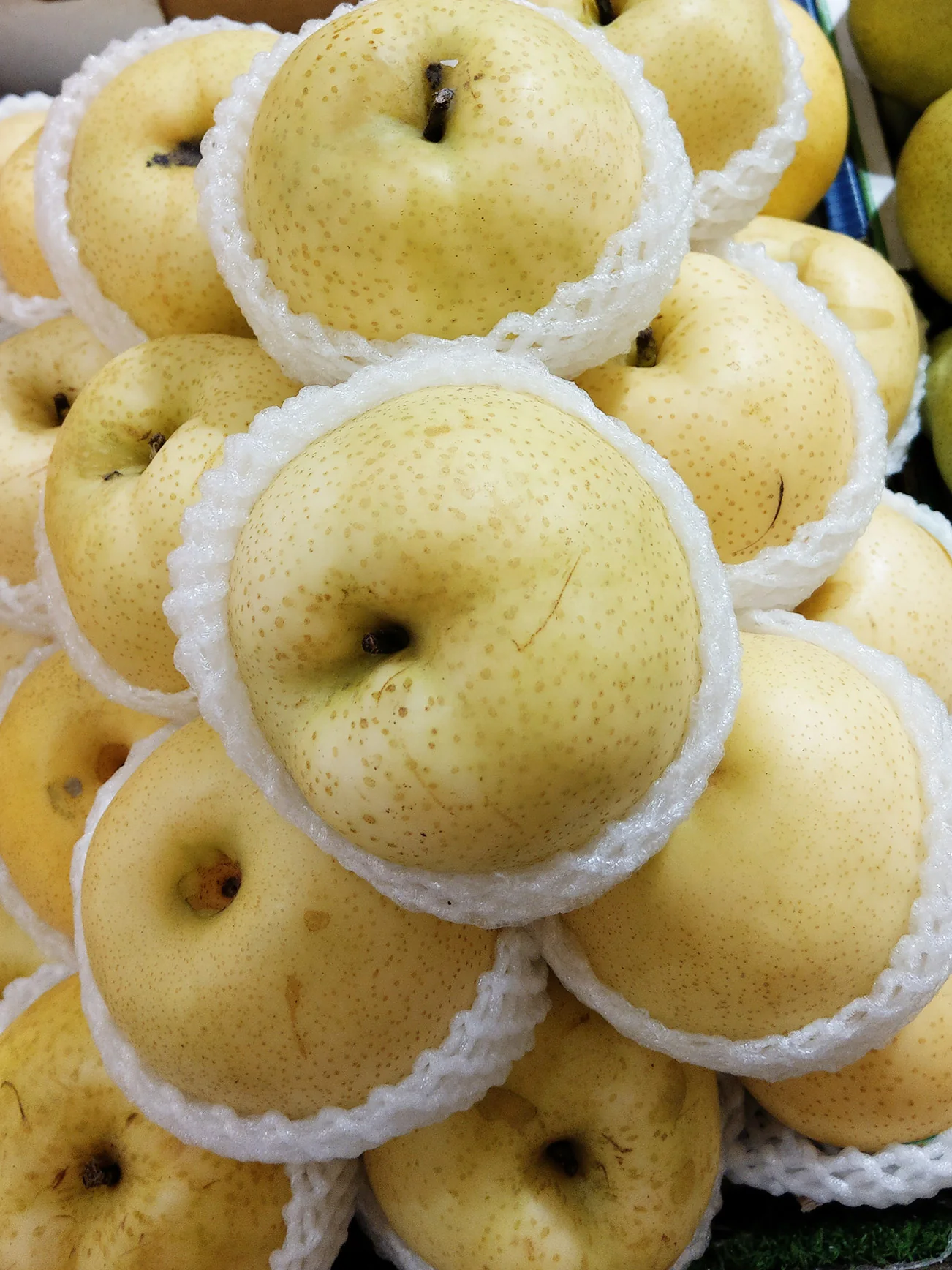 CHINA GOLDEN KING PEAR - PC - Image 4