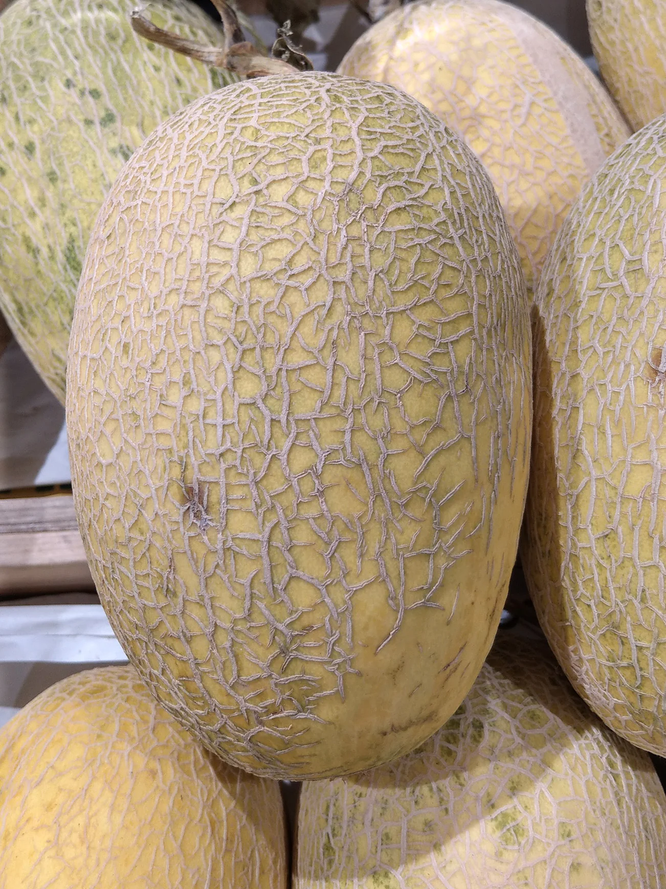CHINA HAMI MELON (+/-2KG) - Image 2