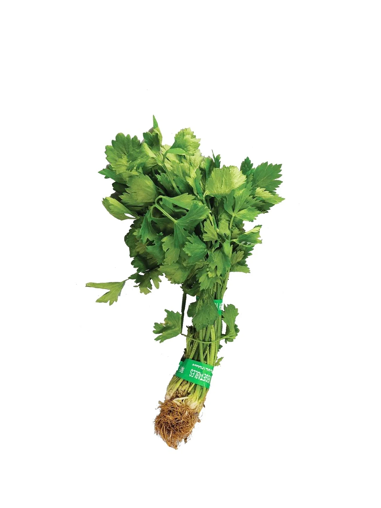 CHINESE CELERY (DAUN SUP) +/-180G - Image 4