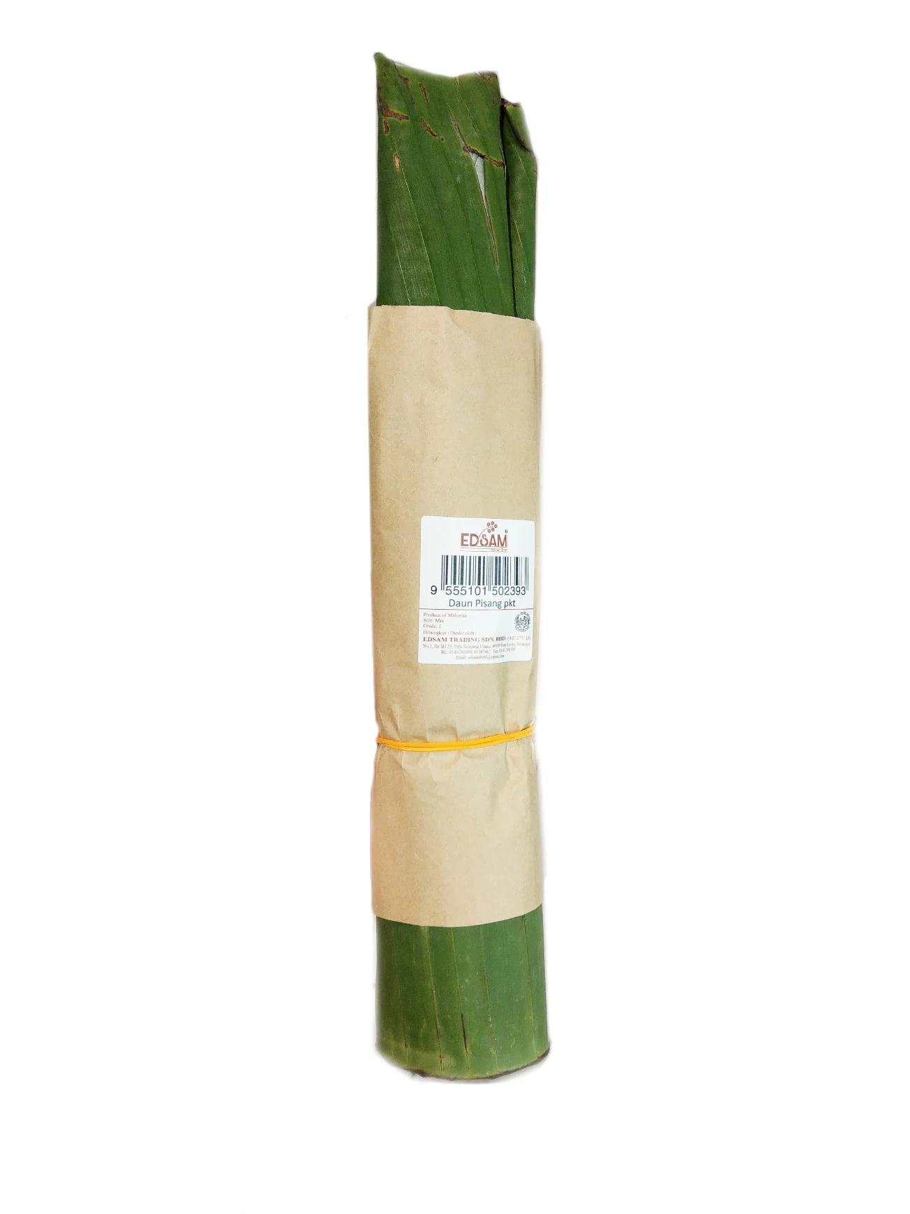 DAUN PISANG PKT