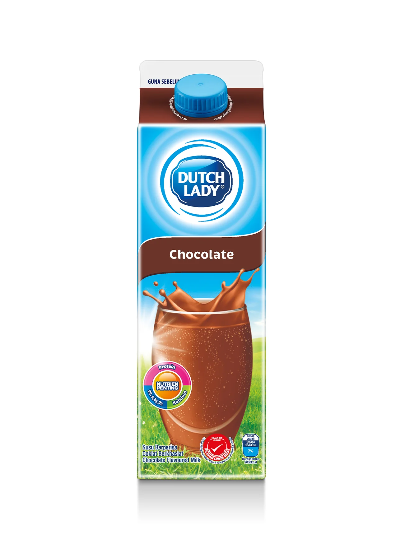 DUTCH LADY PAST CHOCOLATE MILK 1L