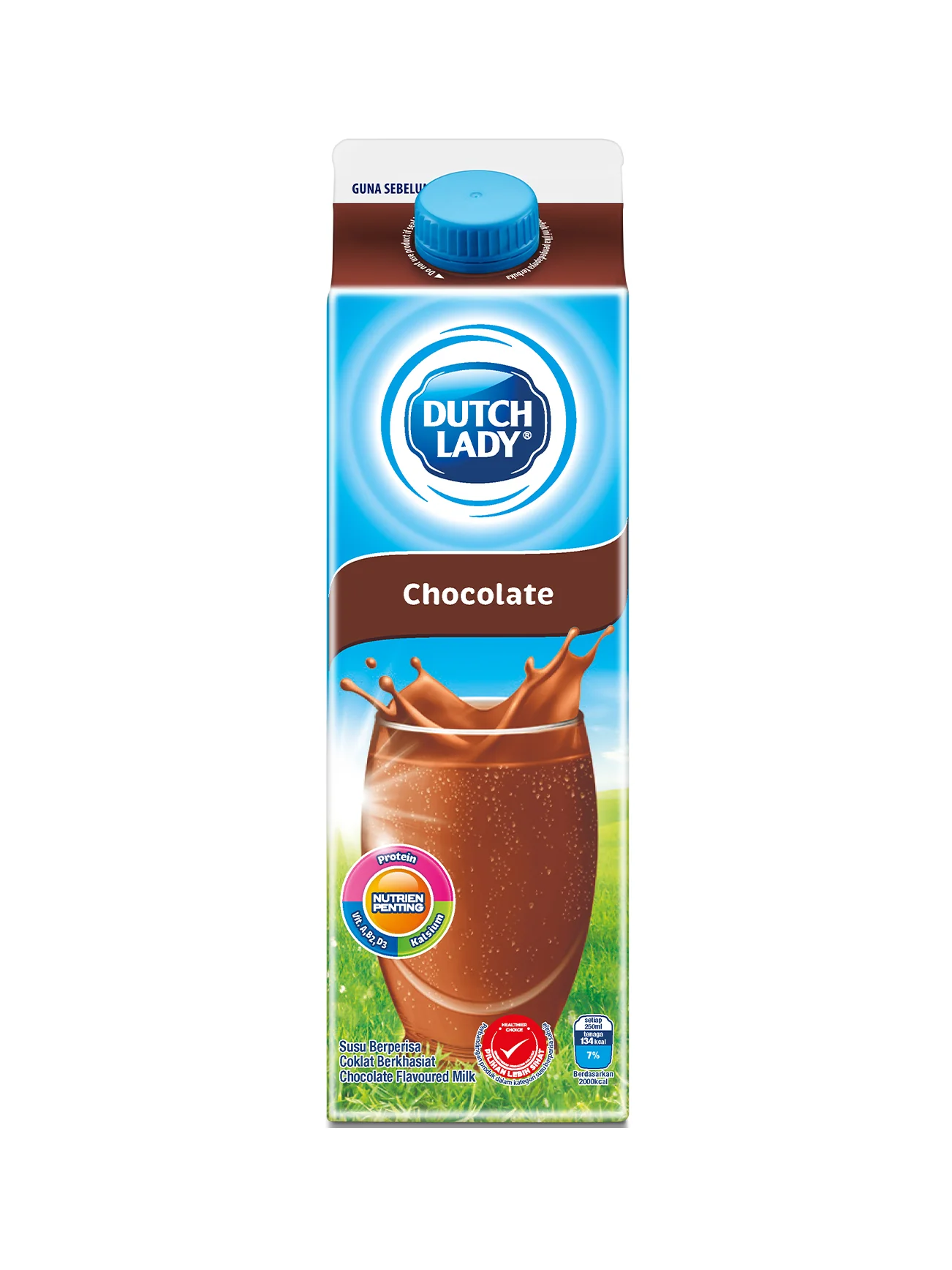 DUTCH LADY PAST CHOCOLATE MILK 1L - Image 2