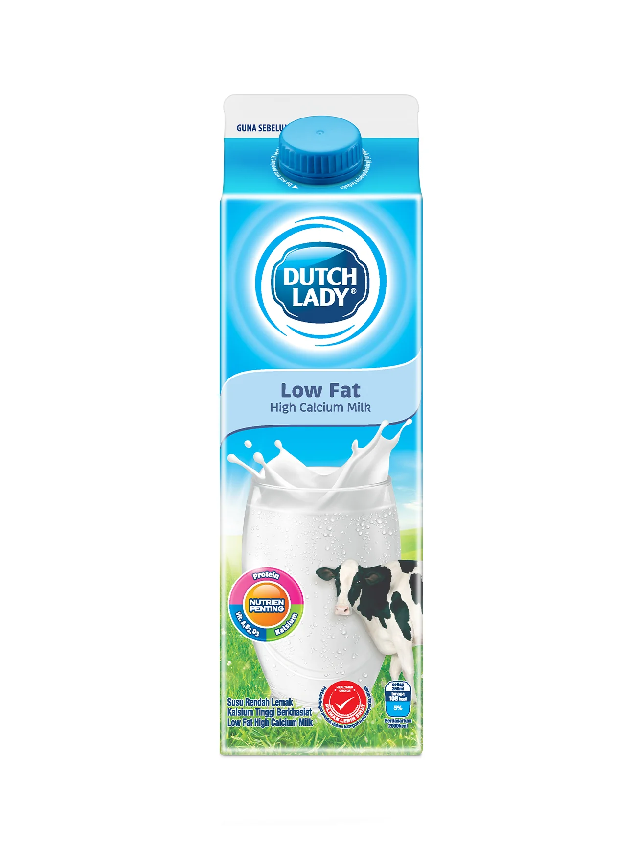 DUTCH LADY PAST LOW FAT MILK 1L
