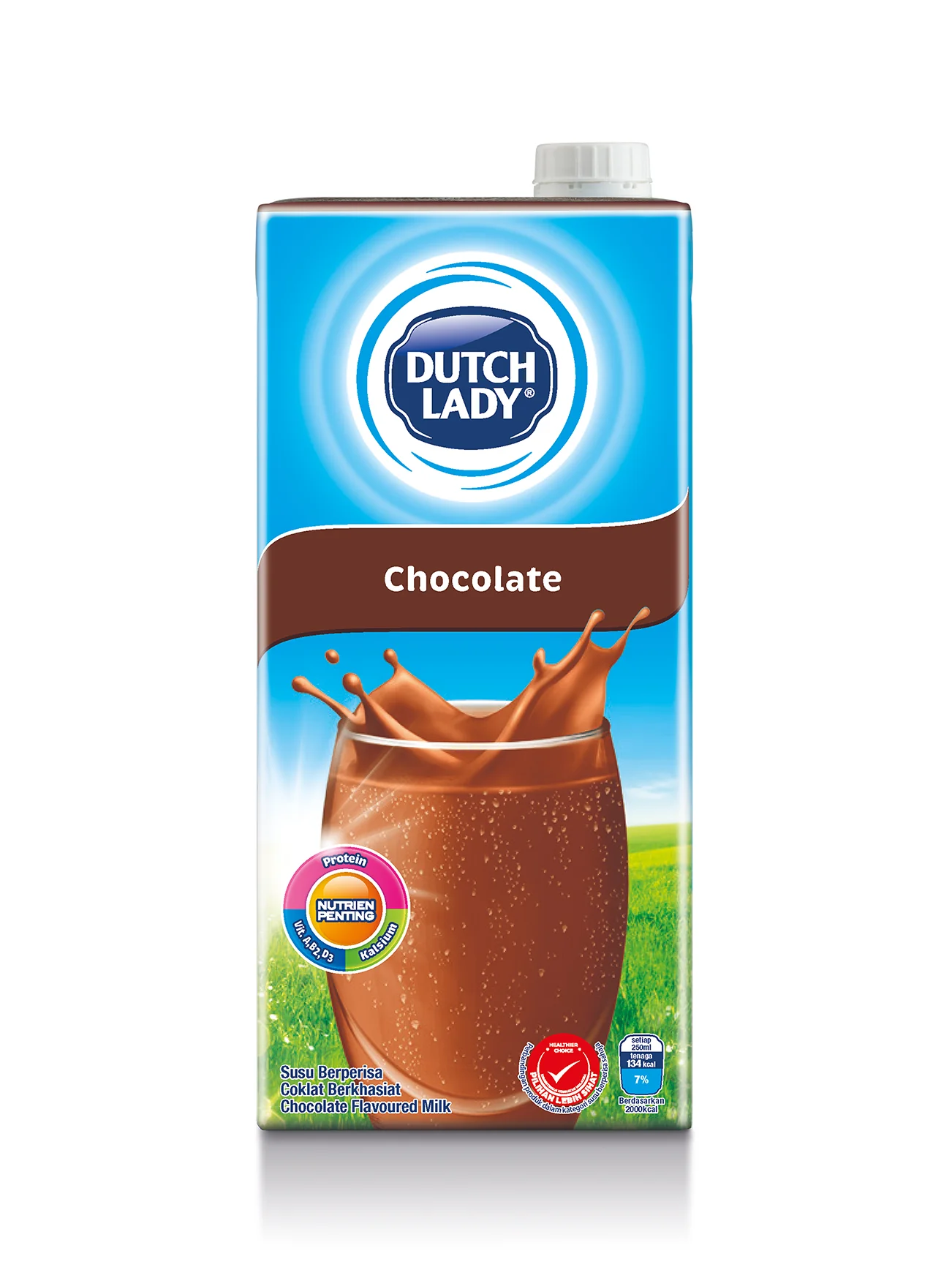 DUTCH LADY UHT CHOC 1L