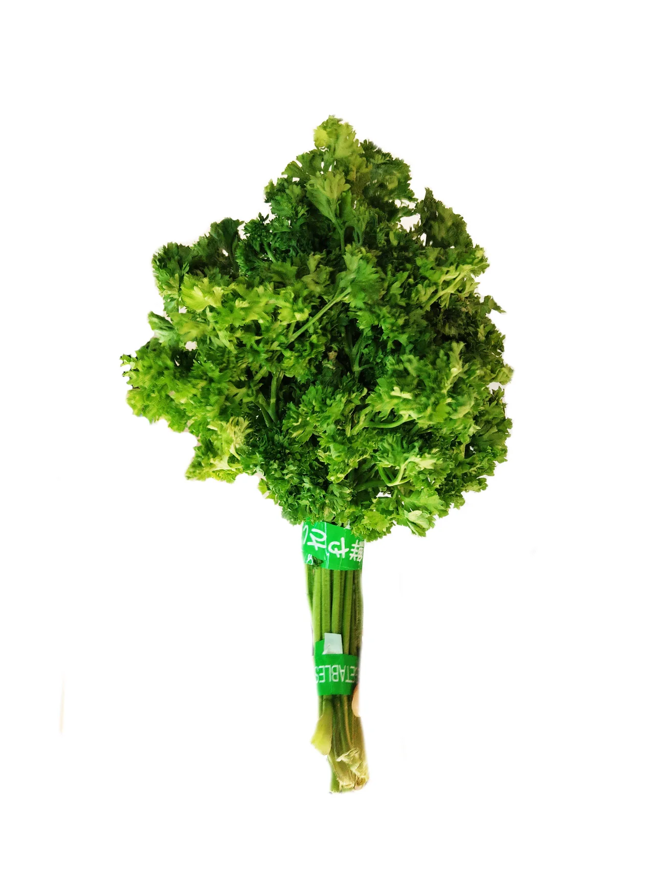 ENGLISH PARSLEY +/-100G - Image 3