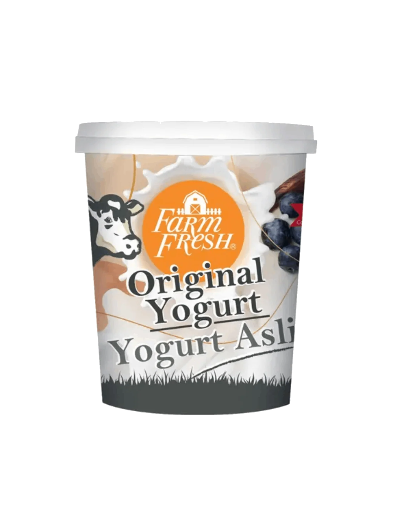 FARM FRESH NATURAL YOGURT 400GM