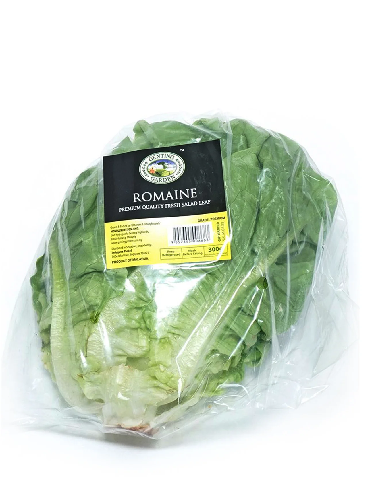 GENTING GARDEN ROMAINE LETTUCE 300G - Image 2