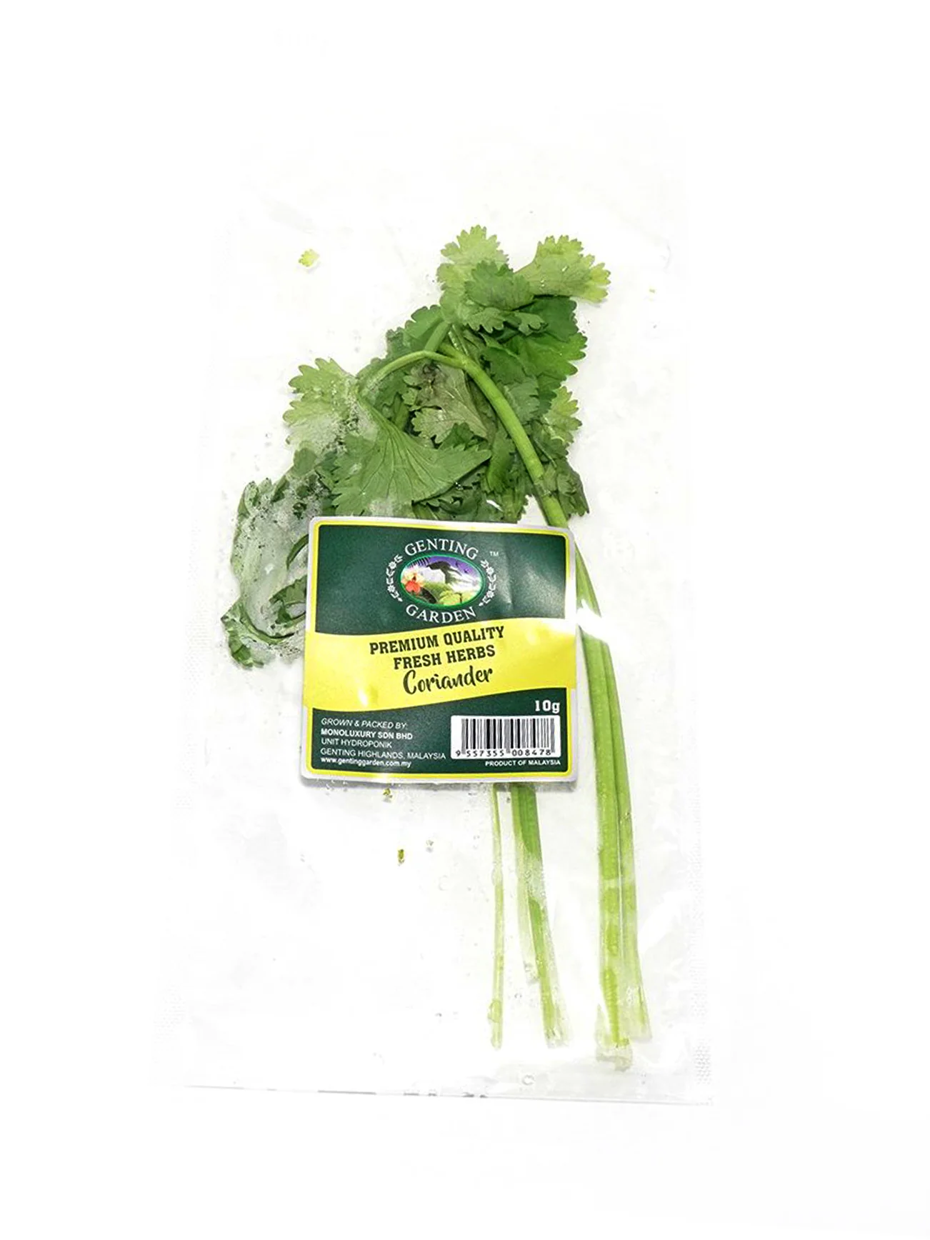 GG HERBS CORIANDER 10G - Image 3