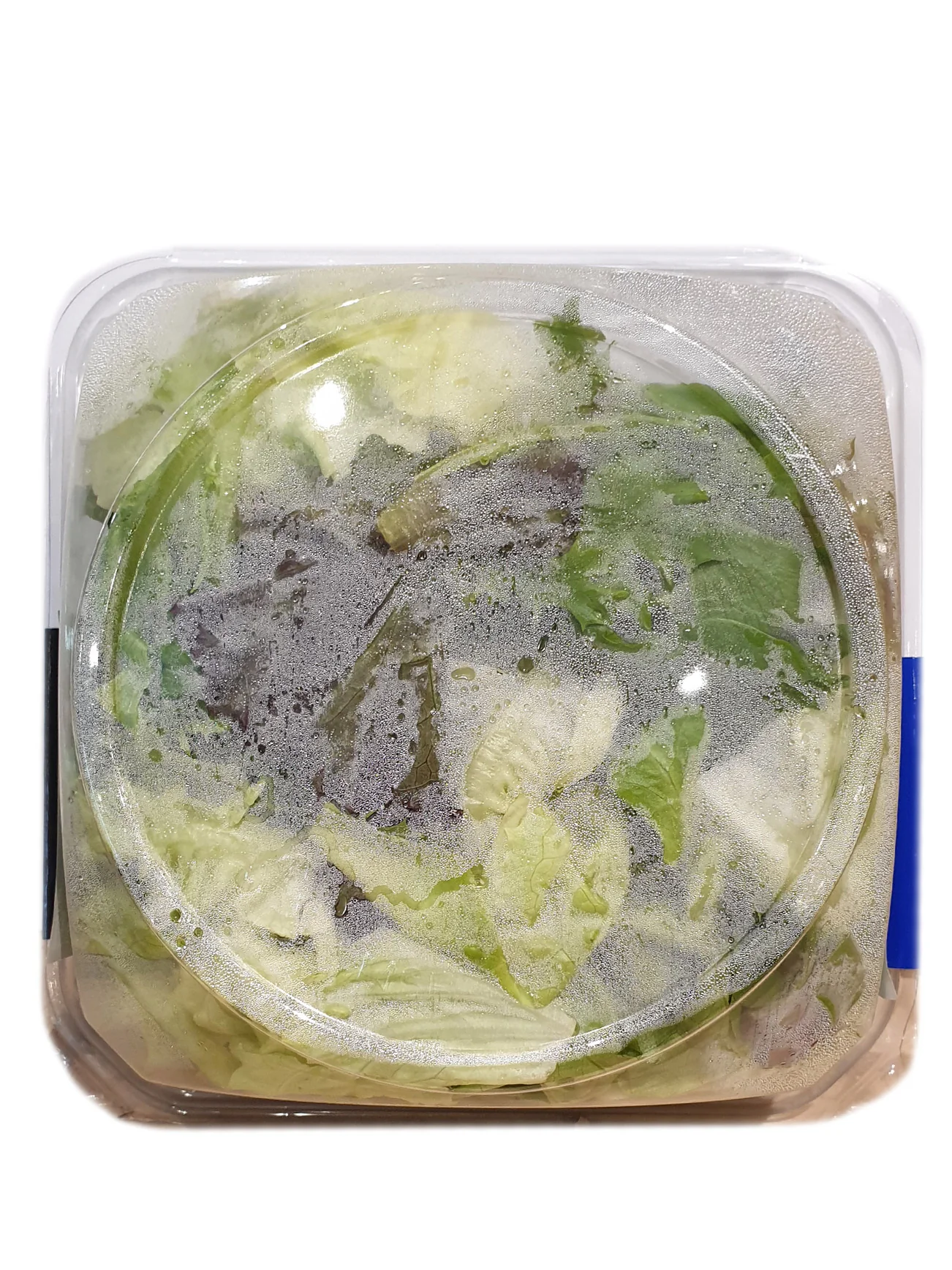 GG RTE GARDEN SALAD IN BOWL 130G - Image 3