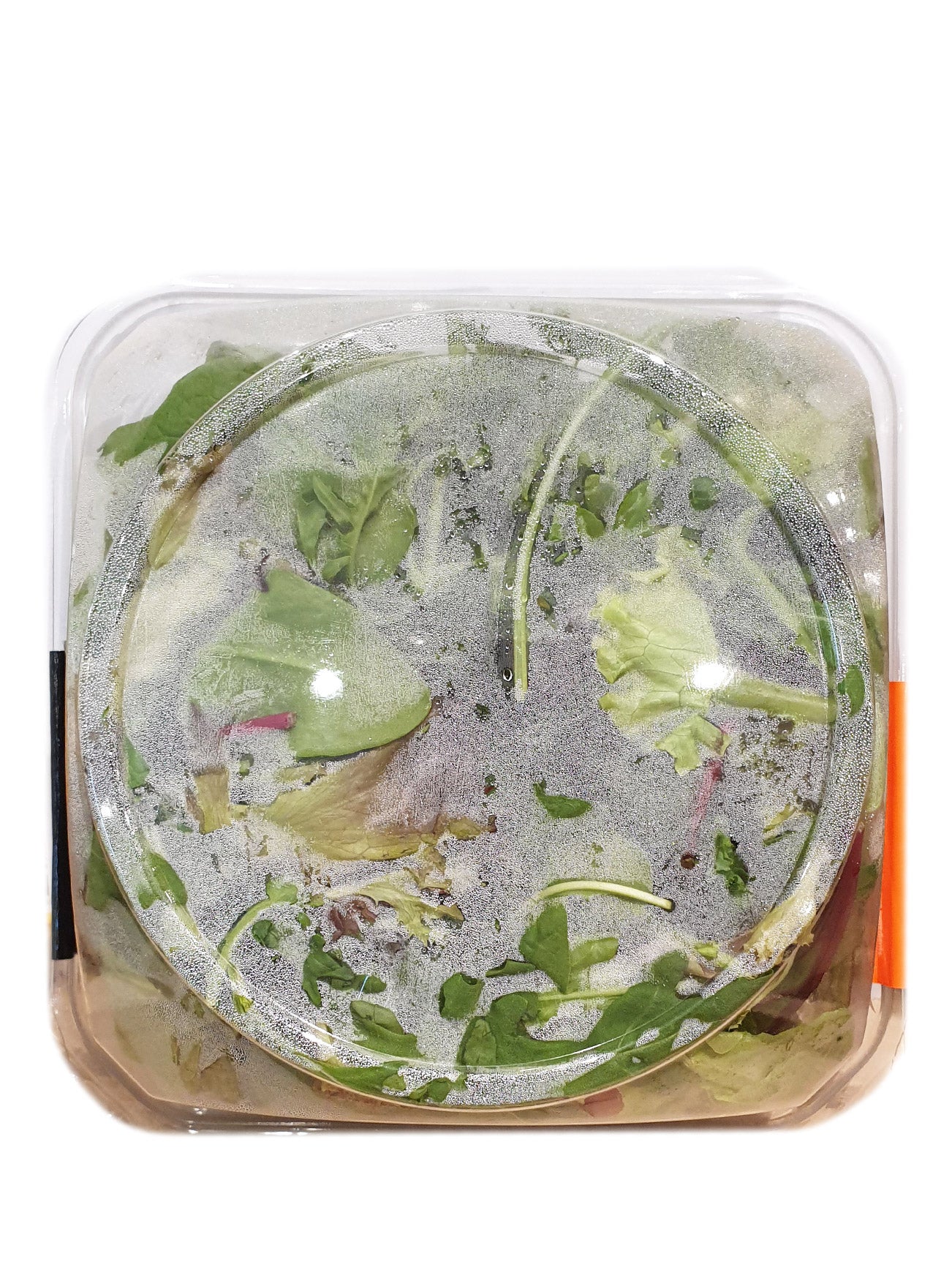 GG RTE ORIENTAL SALAD IN BOWL 140G - Image 3