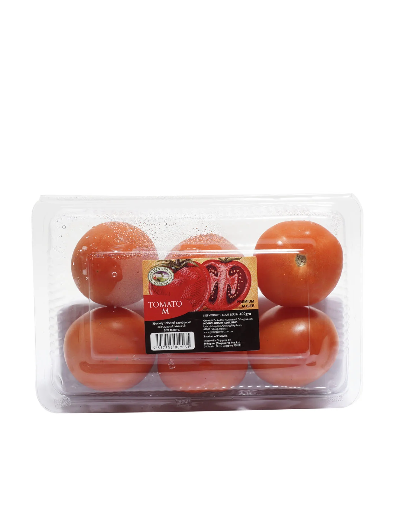 GG TOMATO M 6S - Image 2