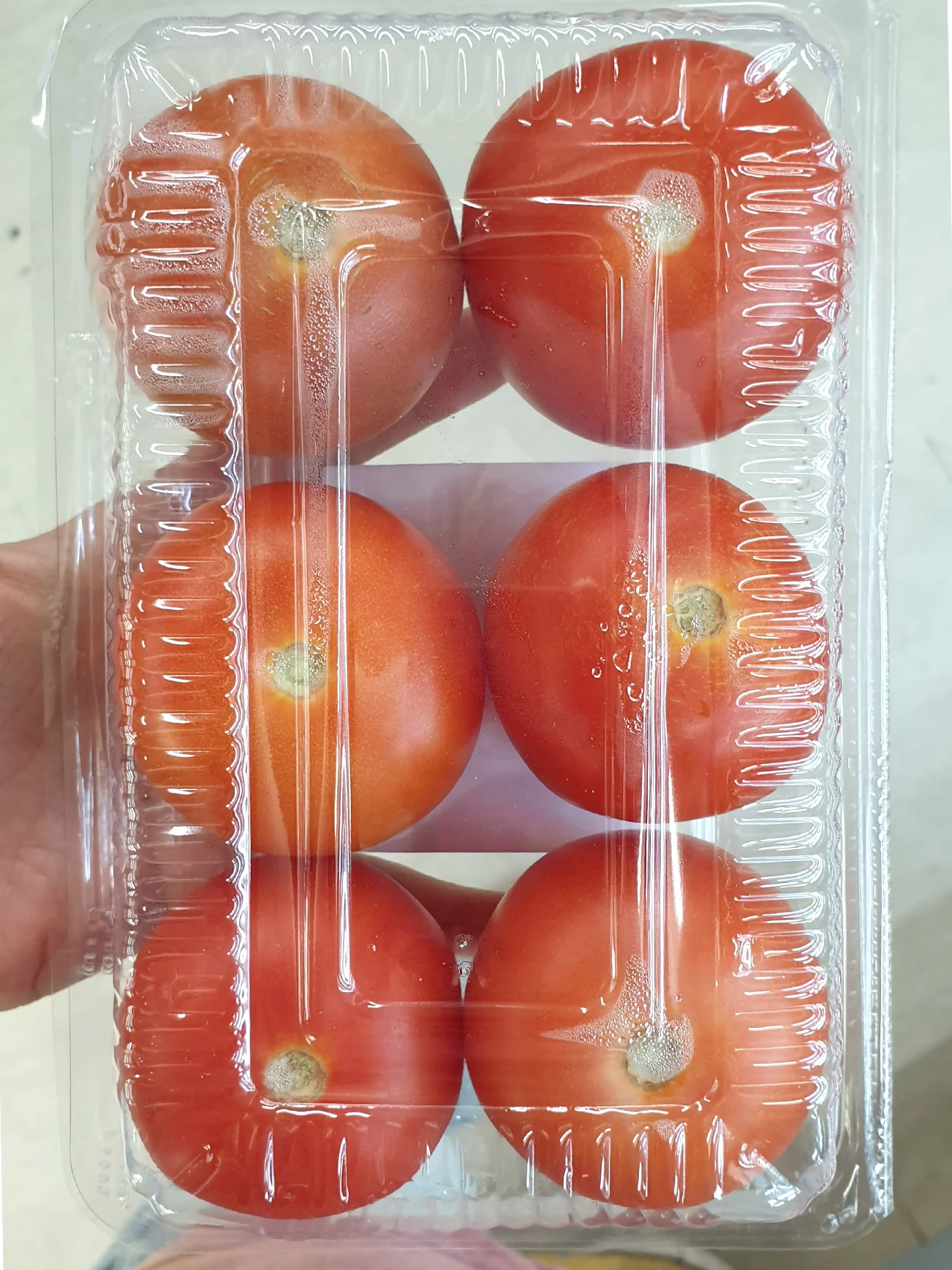 GG TOMATO M 6S - Image 3