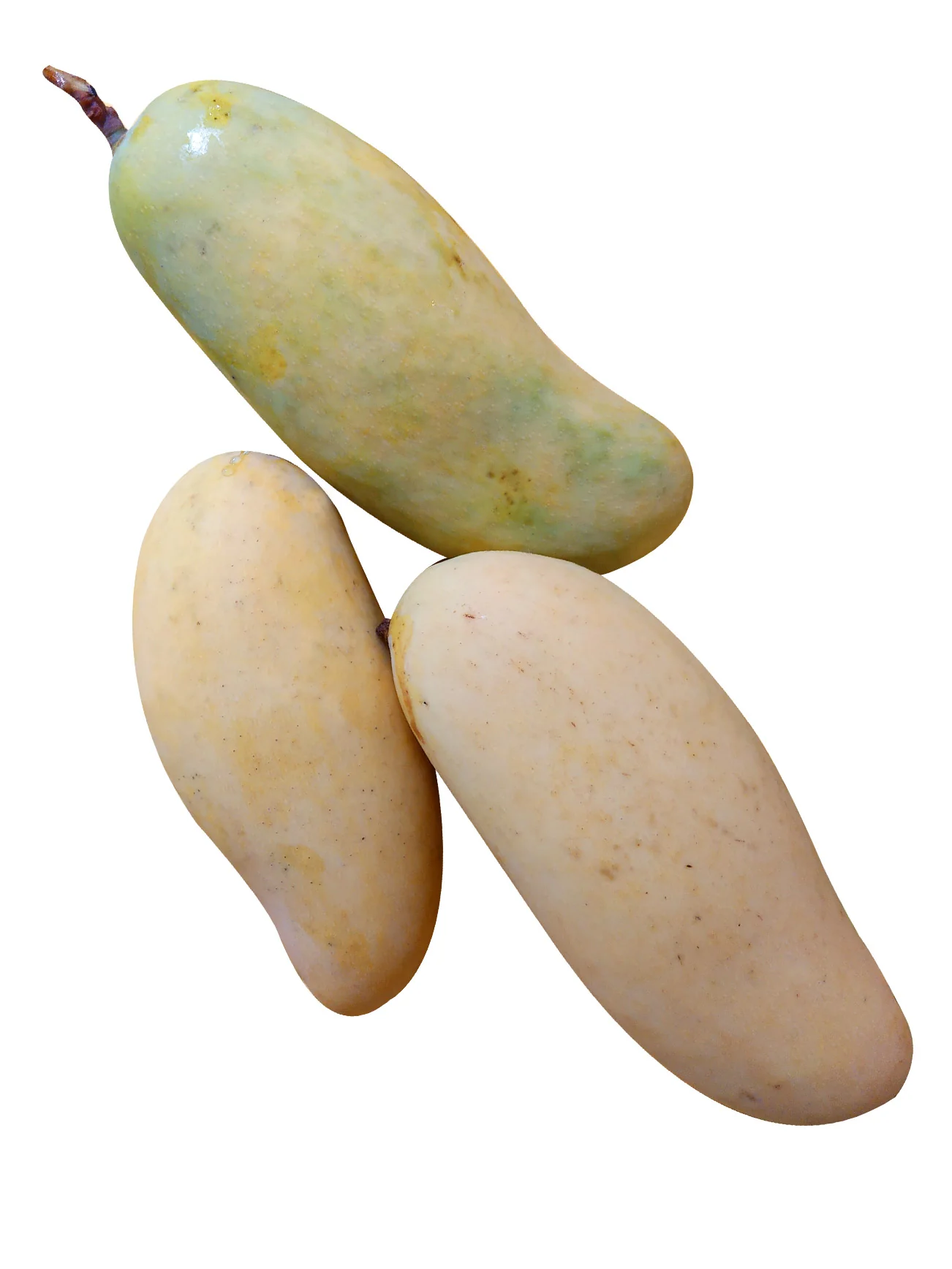 GOLDEN RAINBOW MANGO (+/-1KG)
