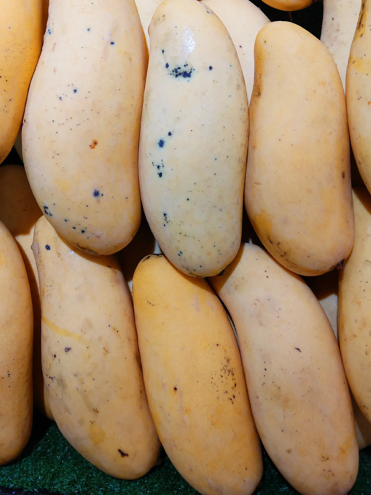 GOLDEN RAINBOW MANGO (+/-1KG) - Image 4