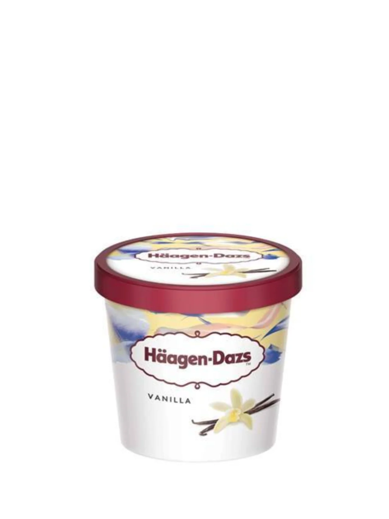 HAAGEN-DAZS VANILLA 100ML - Image 2