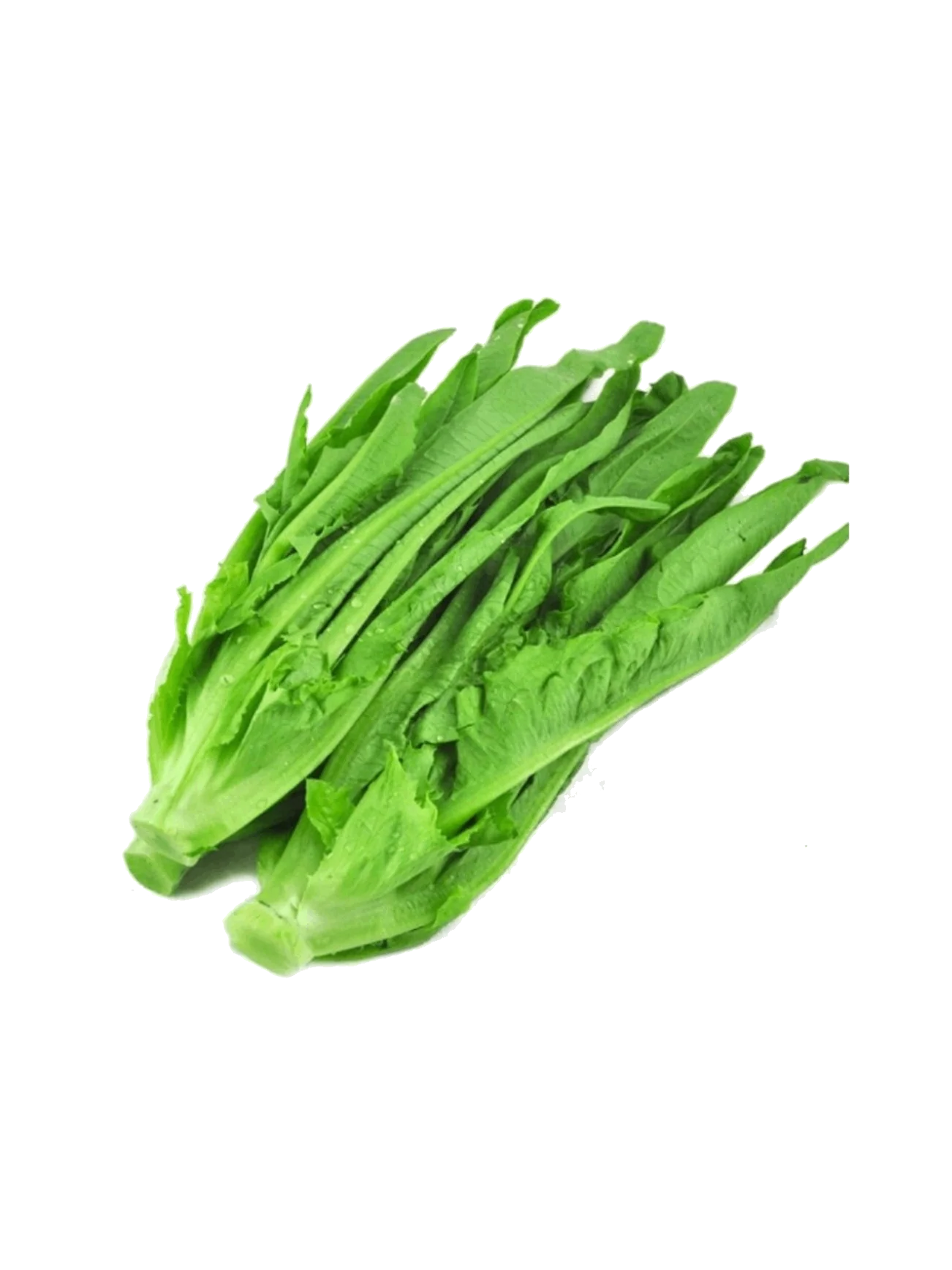 HK YAU MAK (LEAF LETTUCE) 300G