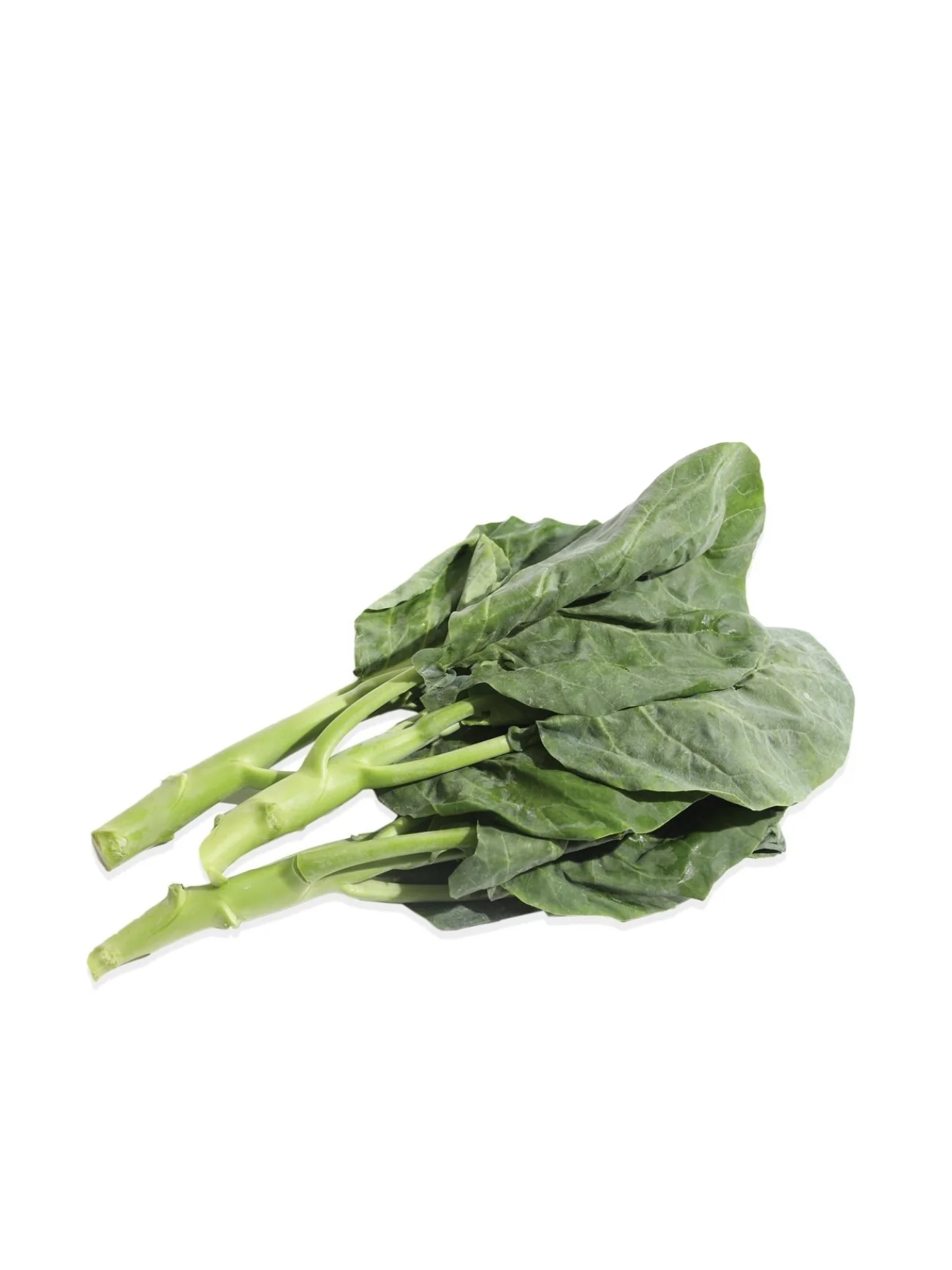 KAILAN (+/-350G) - Image 3
