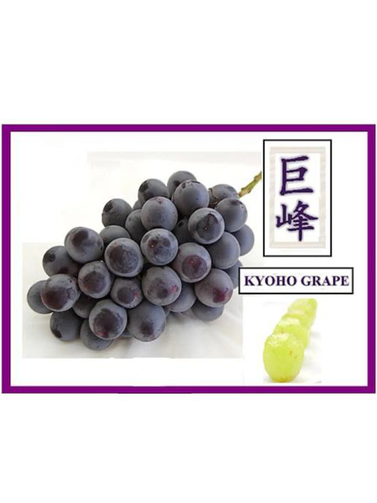 KOREA KYOHO GRAPE 450G - Image 3