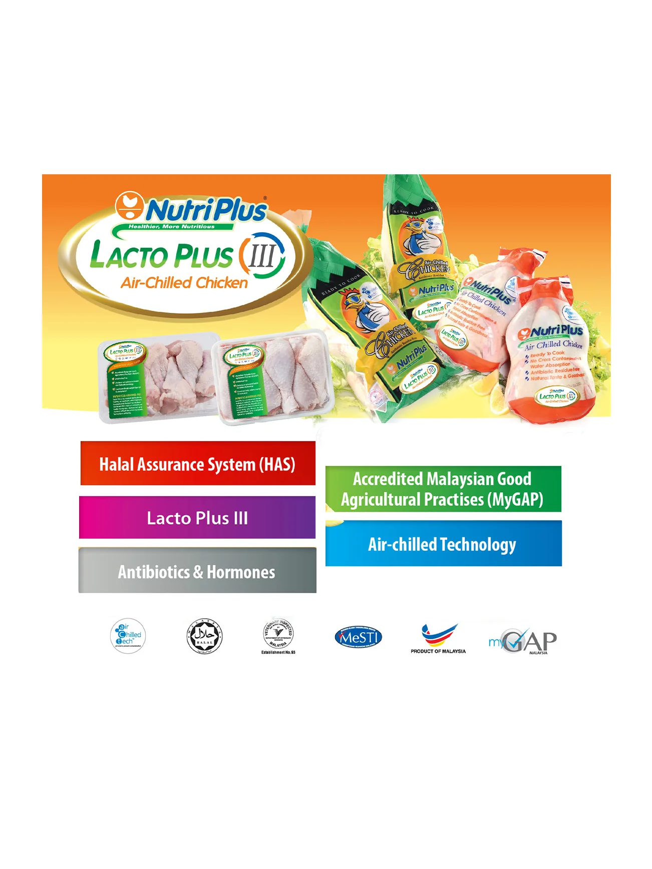 LACTO PLUS CHICKEN FILLET (+/- 500G) - Image 3