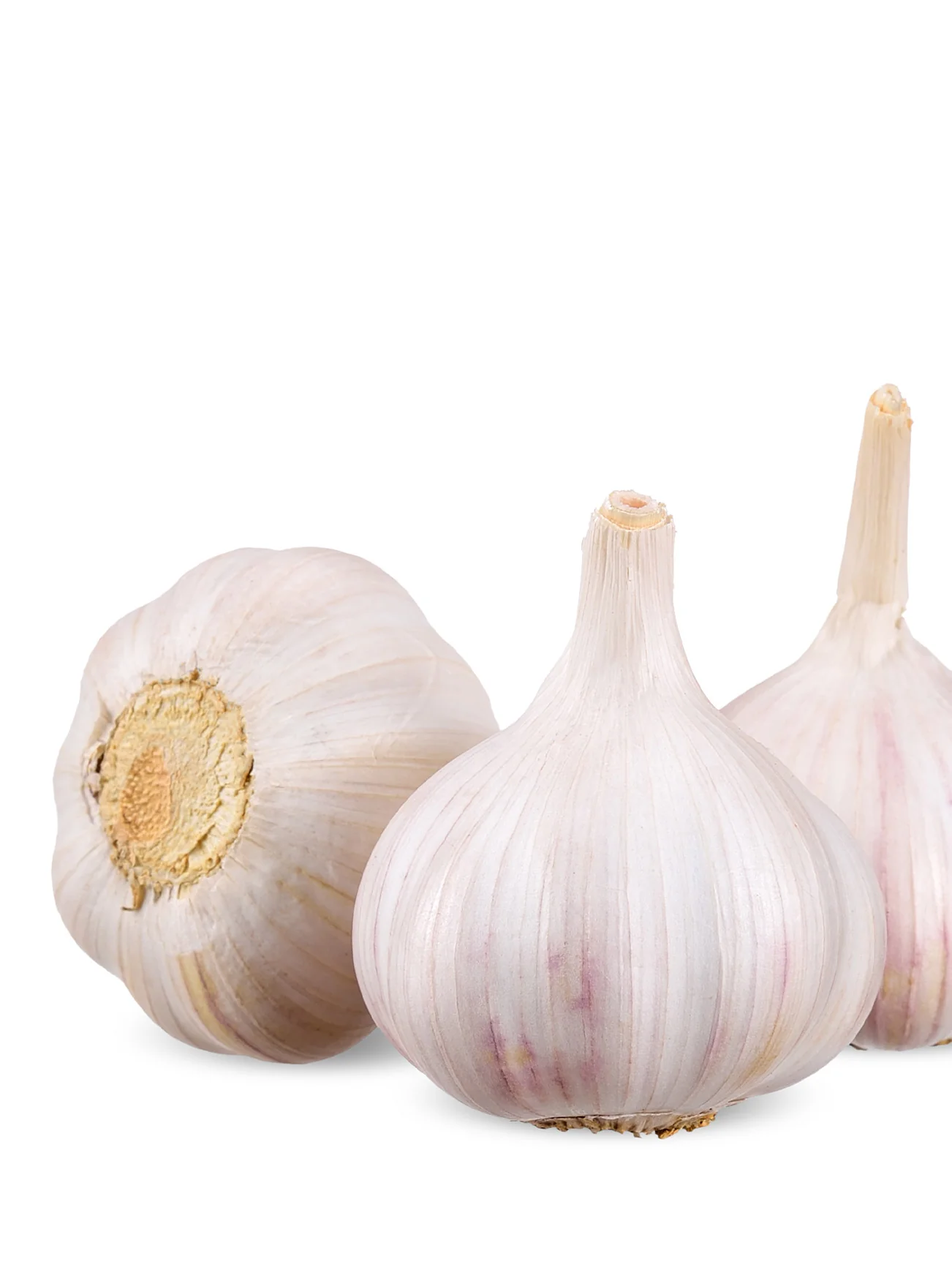 PREMIUM WHITE GARLIC (+/-300G) - Image 2