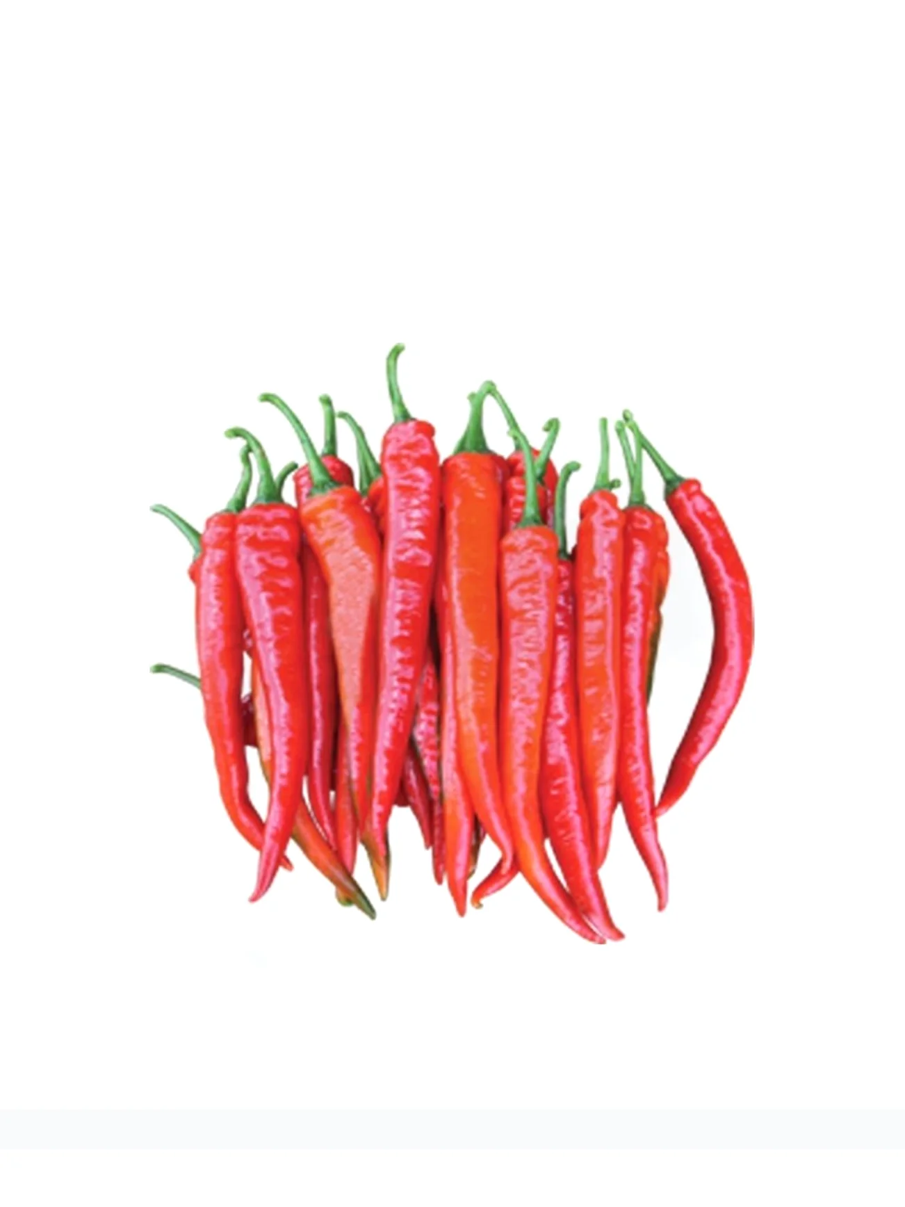 RED CHILLI (CILI MERAH) +/-150G - Image 3