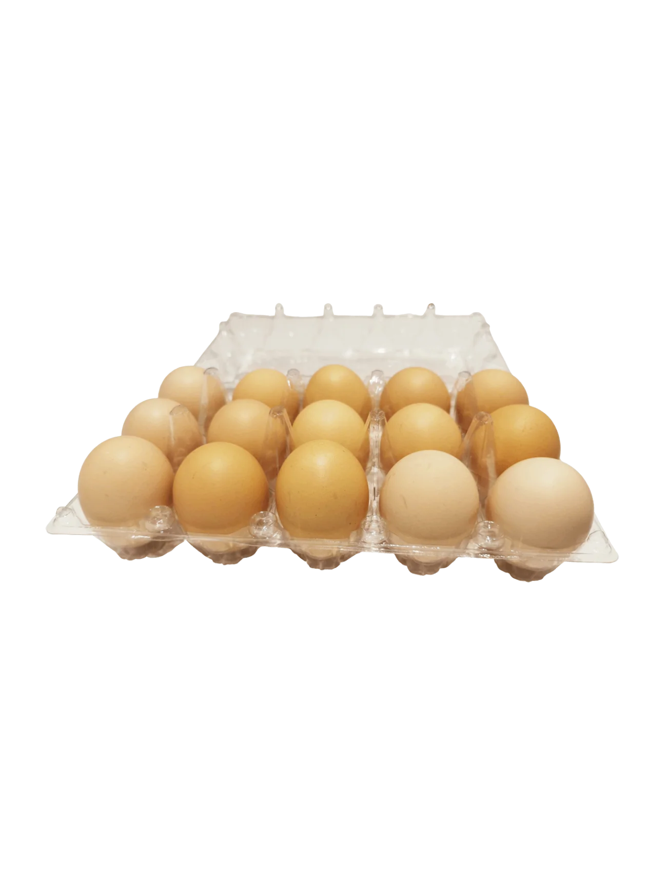 SAVOIR KAMPUNG EGG 15S - Image 2