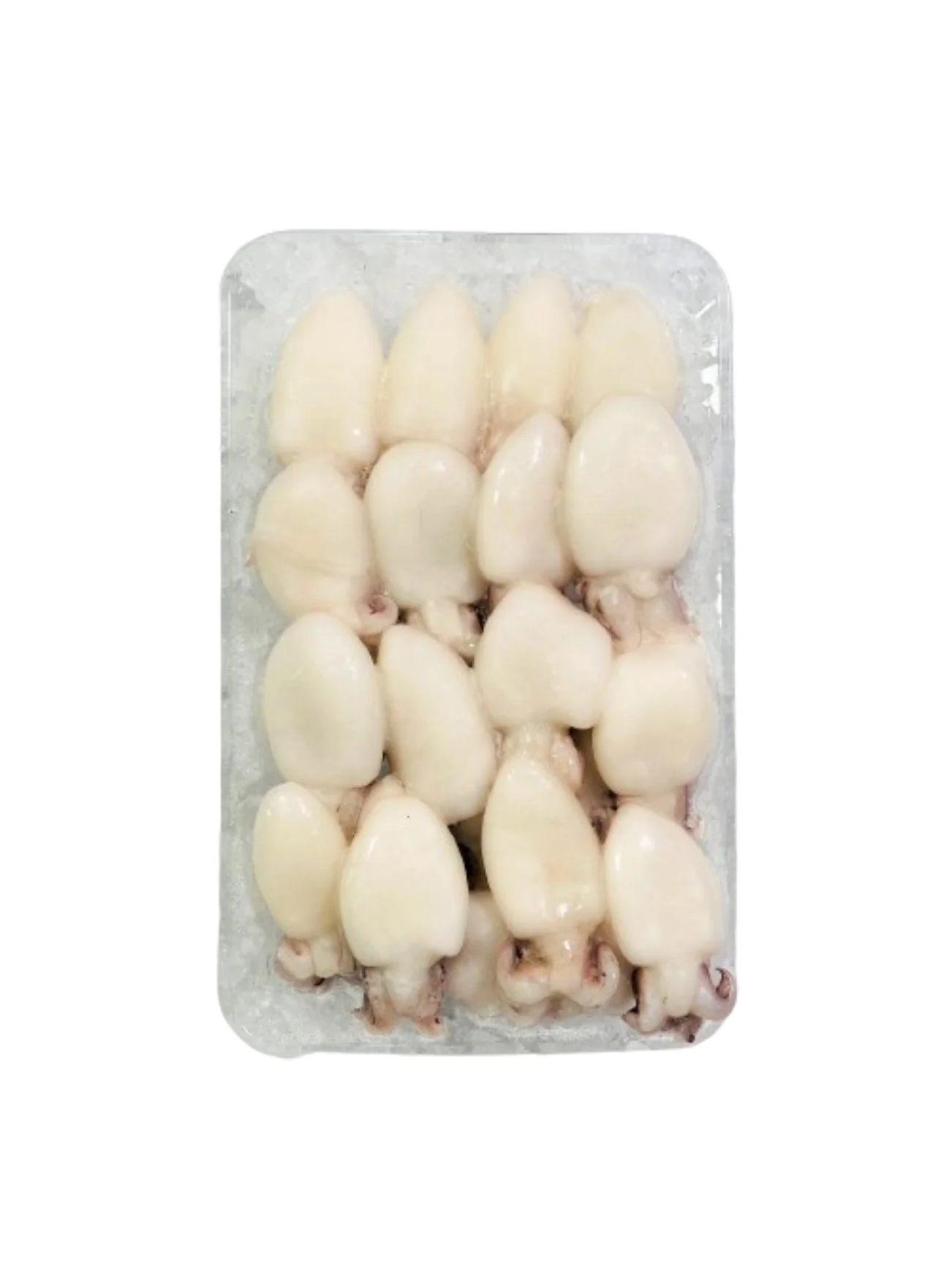 SB FROZEN WHOLE CLEANED BABY CUTTLEFISH 300GM