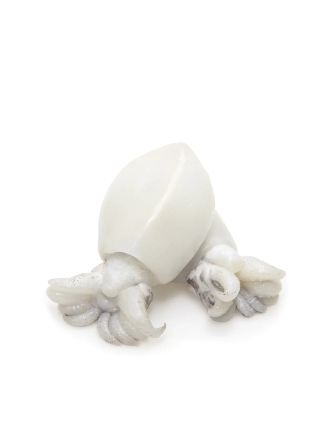 SB FROZEN WHOLE CLEANED BABY CUTTLEFISH 300GM - Image 2