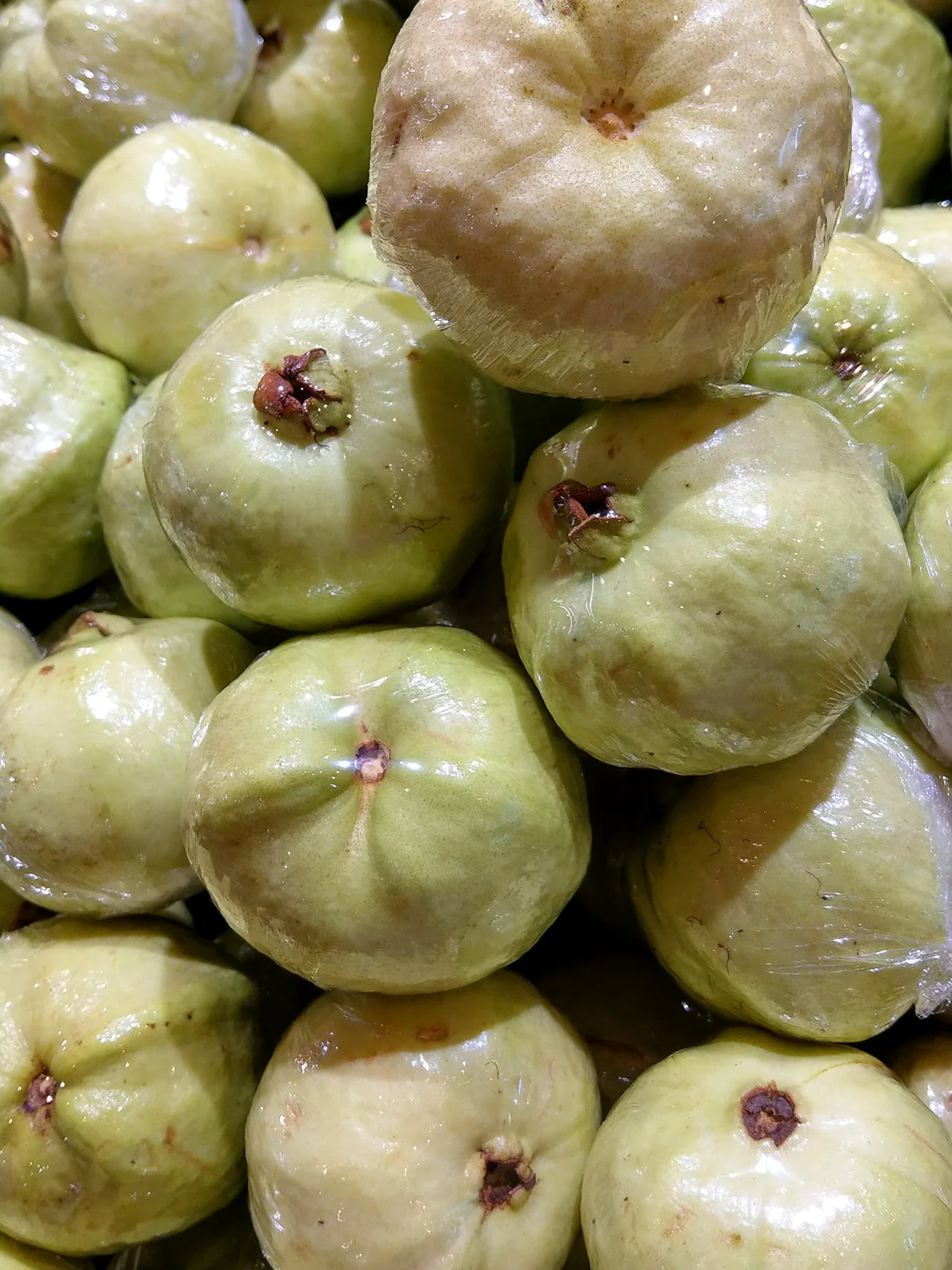 SEEDLESS GUAVA (+/- 1KG) - Image 3