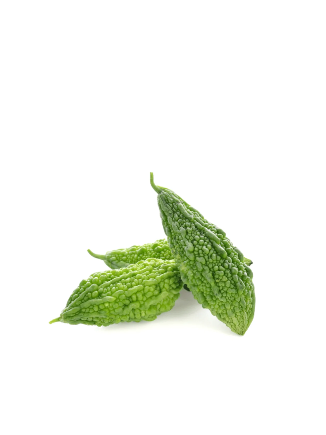 SMALL BITTER GOURD (+/-400G) - Image 2