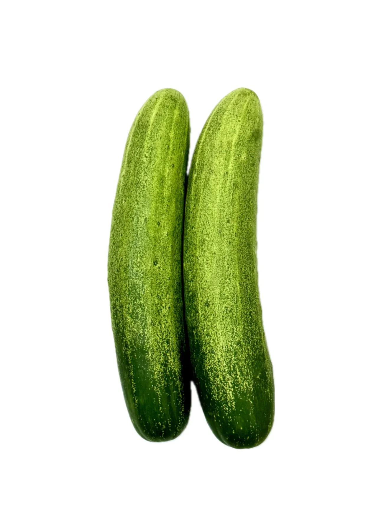SUAN MOKKH ORGANIC CUCUMBER (+/-500G)