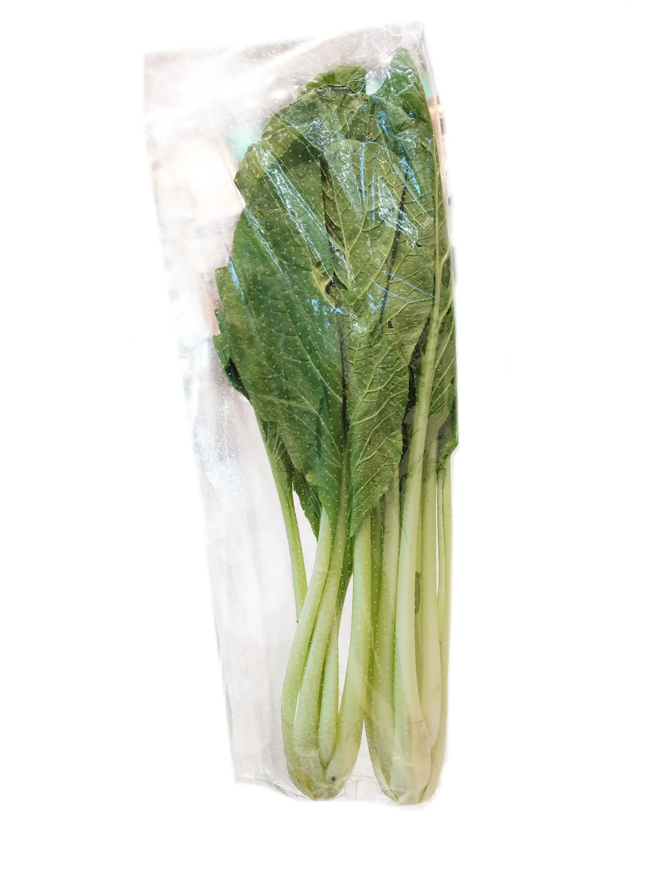 SWEET CHOY SUM (SAWI JEPUN) +/-300G - Image 2