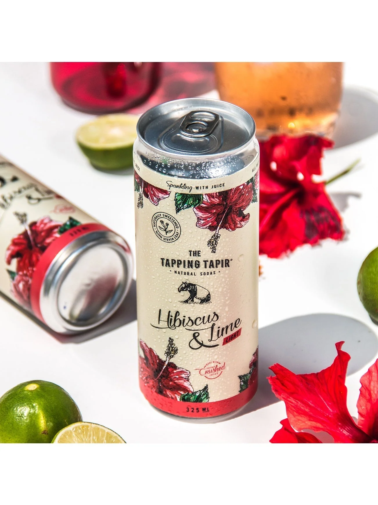 THE TAPPING TAPIR LIGHT TROPICAL 4X250ML - Image 4