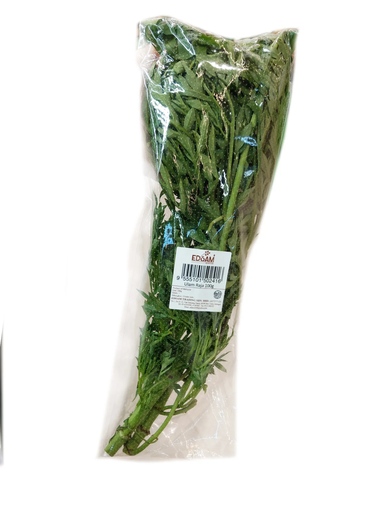 ULAM RAJA 100G