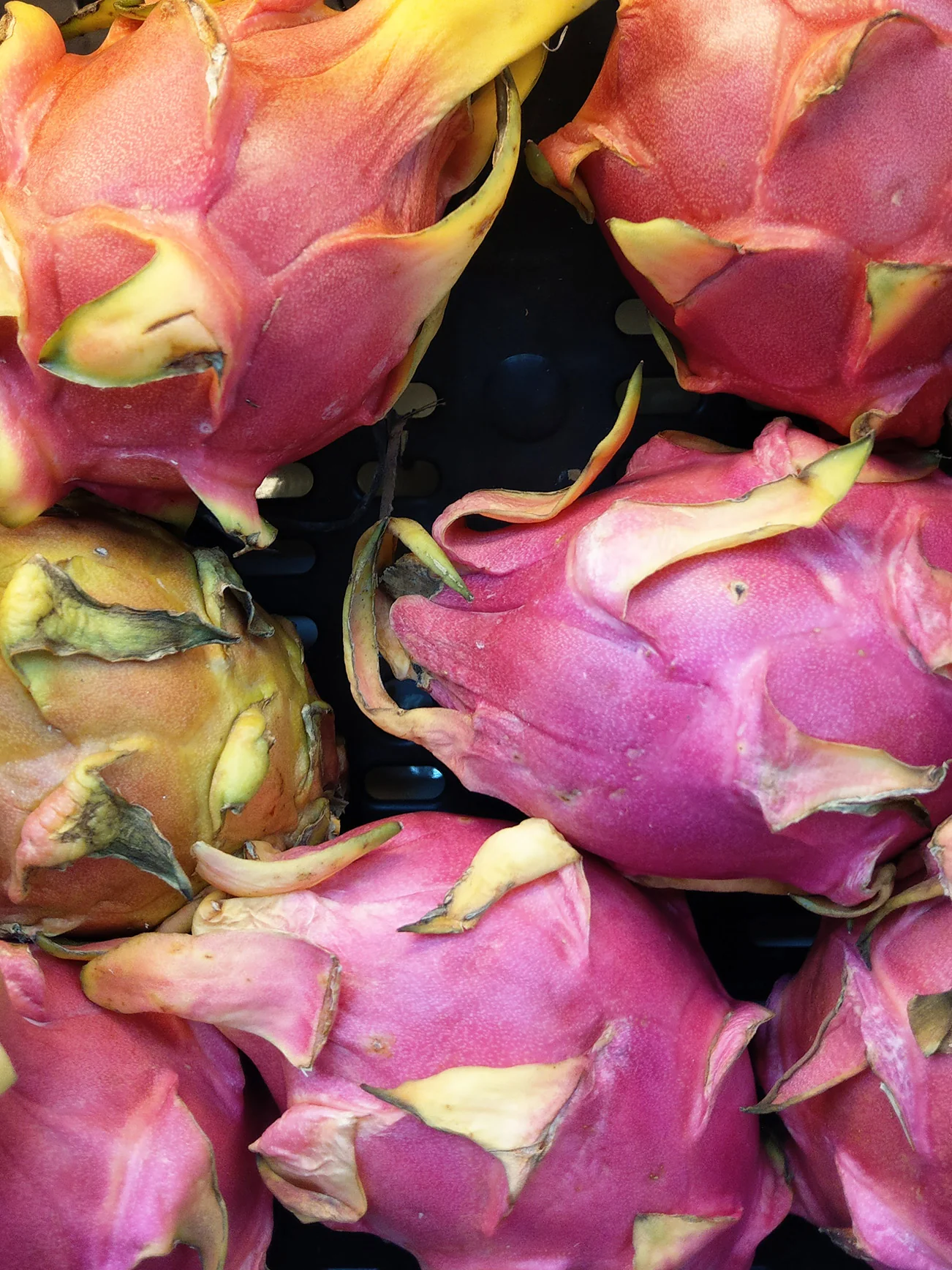 VIETNAM WHITE DRAGON FRUIT PC - Image 2